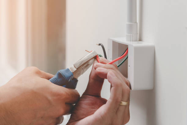 Best Electrical Panel Upgrades  in Haskins, OH